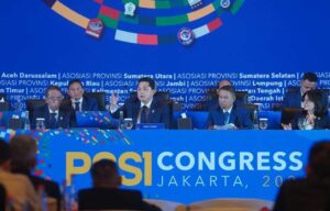 sepak bola