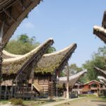 budaya Toraja