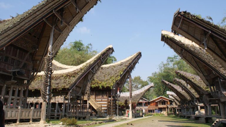 budaya Toraja